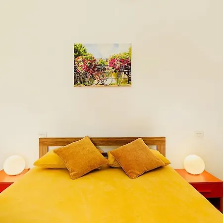 Spacious New 2 Bdr Walk-out *