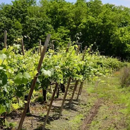 Spacious New 2 Bdr Walk-out Апартаменты Fara Novarese