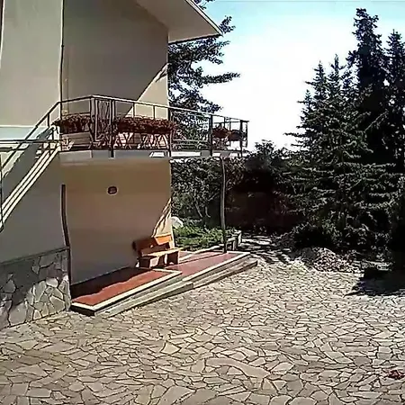 Appartement Spacious New 2 Bdr Walk-out *