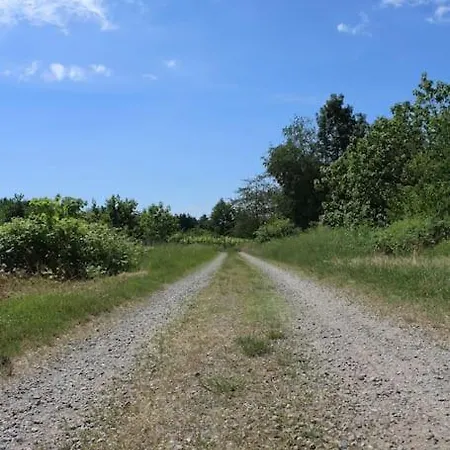 Spacious New 2 Bdr Walk-out